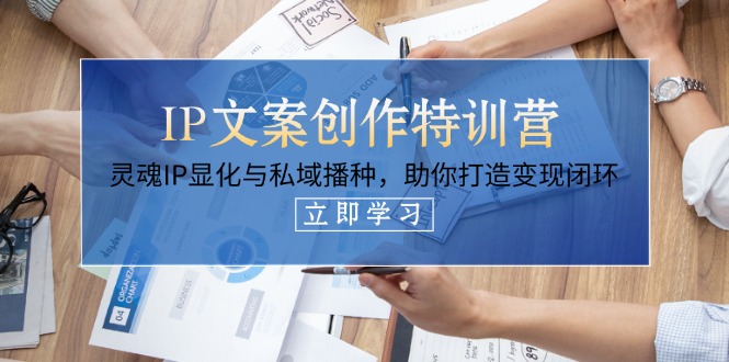 IP文案创作特训营，灵魂IP显化与私域播种，助你打造变现闭环（14节课）